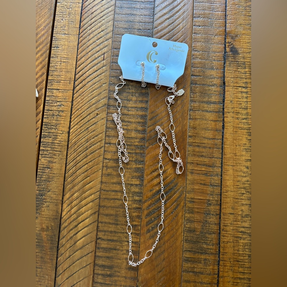 Charming Charlie Rose Gold Necklace and Earrings